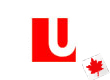 Лого: York University English Language Institute